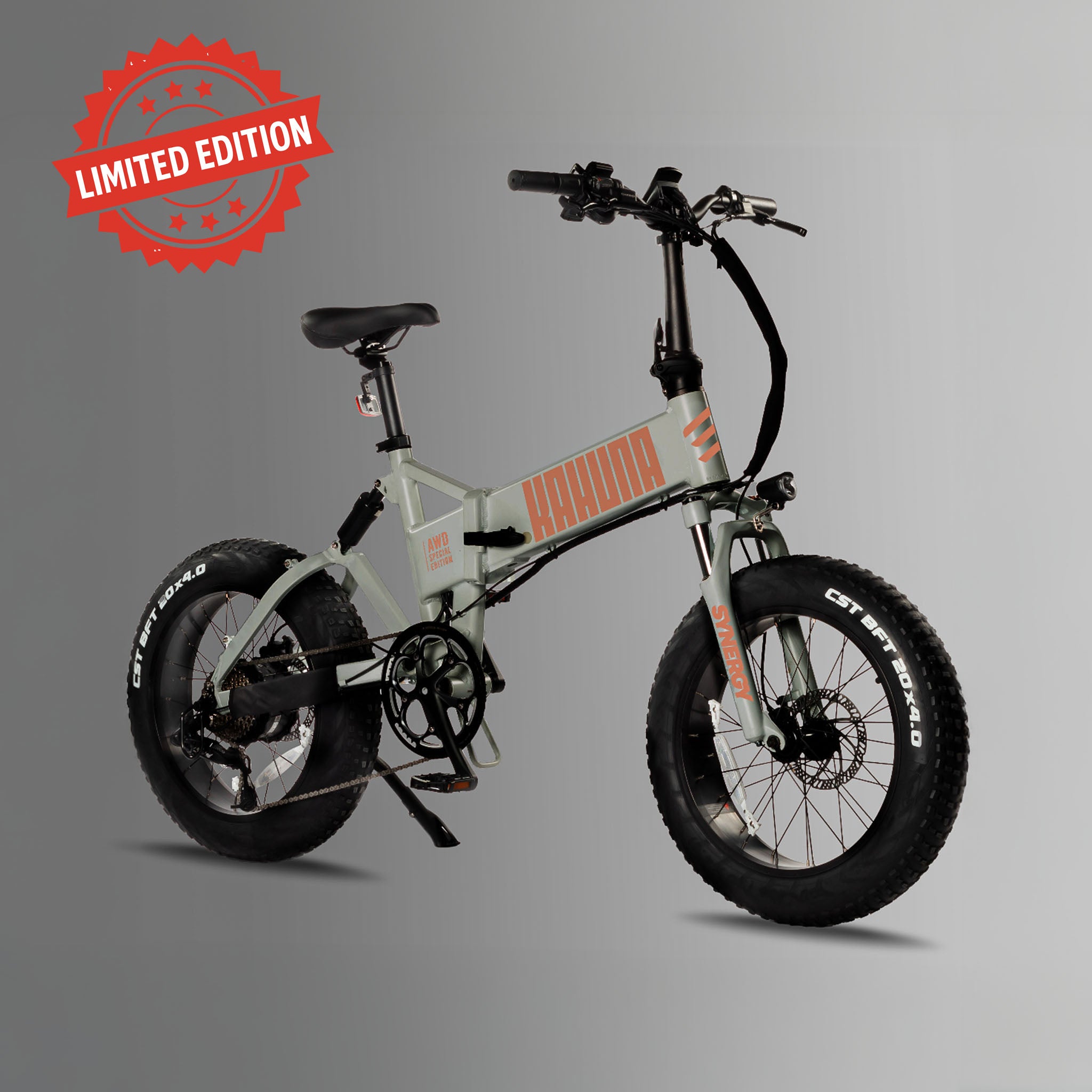 Synergy Kahuna electric bike in ghost grey with background