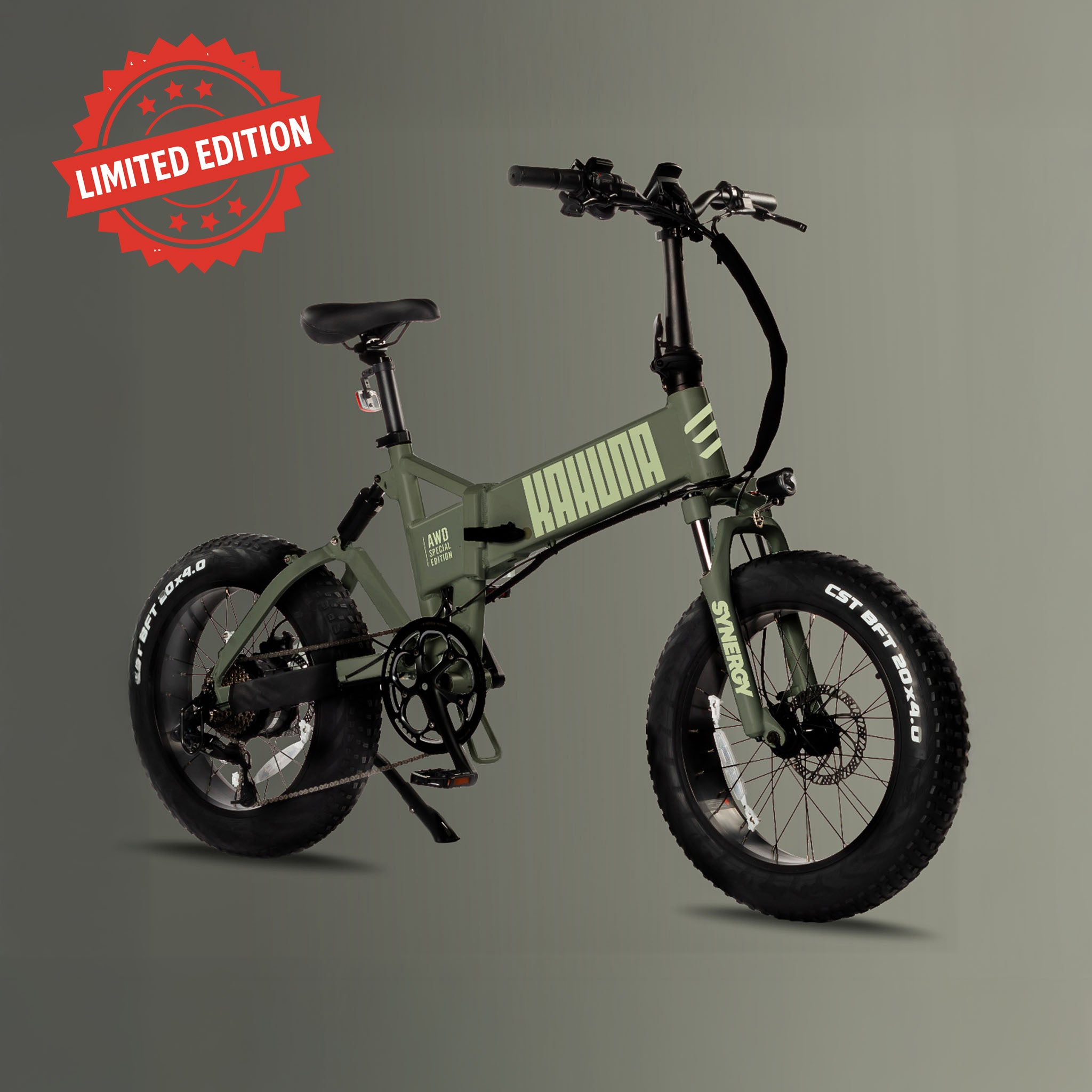 Synergy Kahuna electric bike in hunter green with background