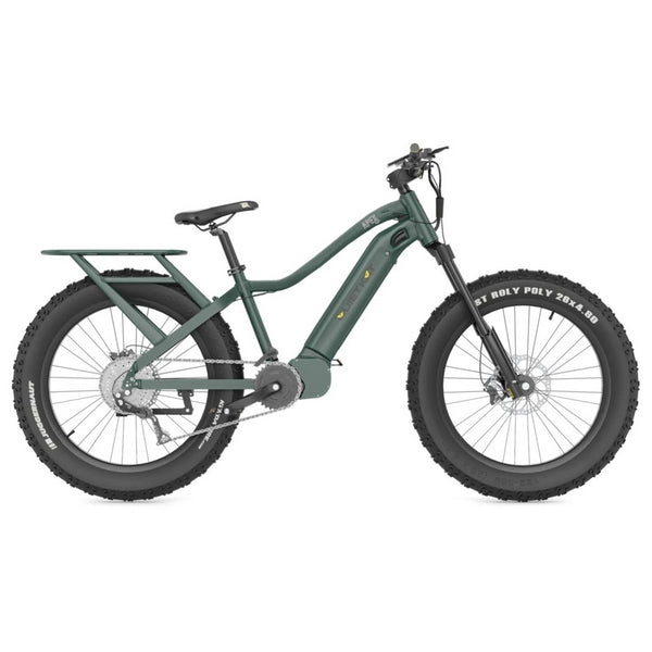 eBikes – Electric Bikes Canada – Vintage Iron Cycles – Page 2