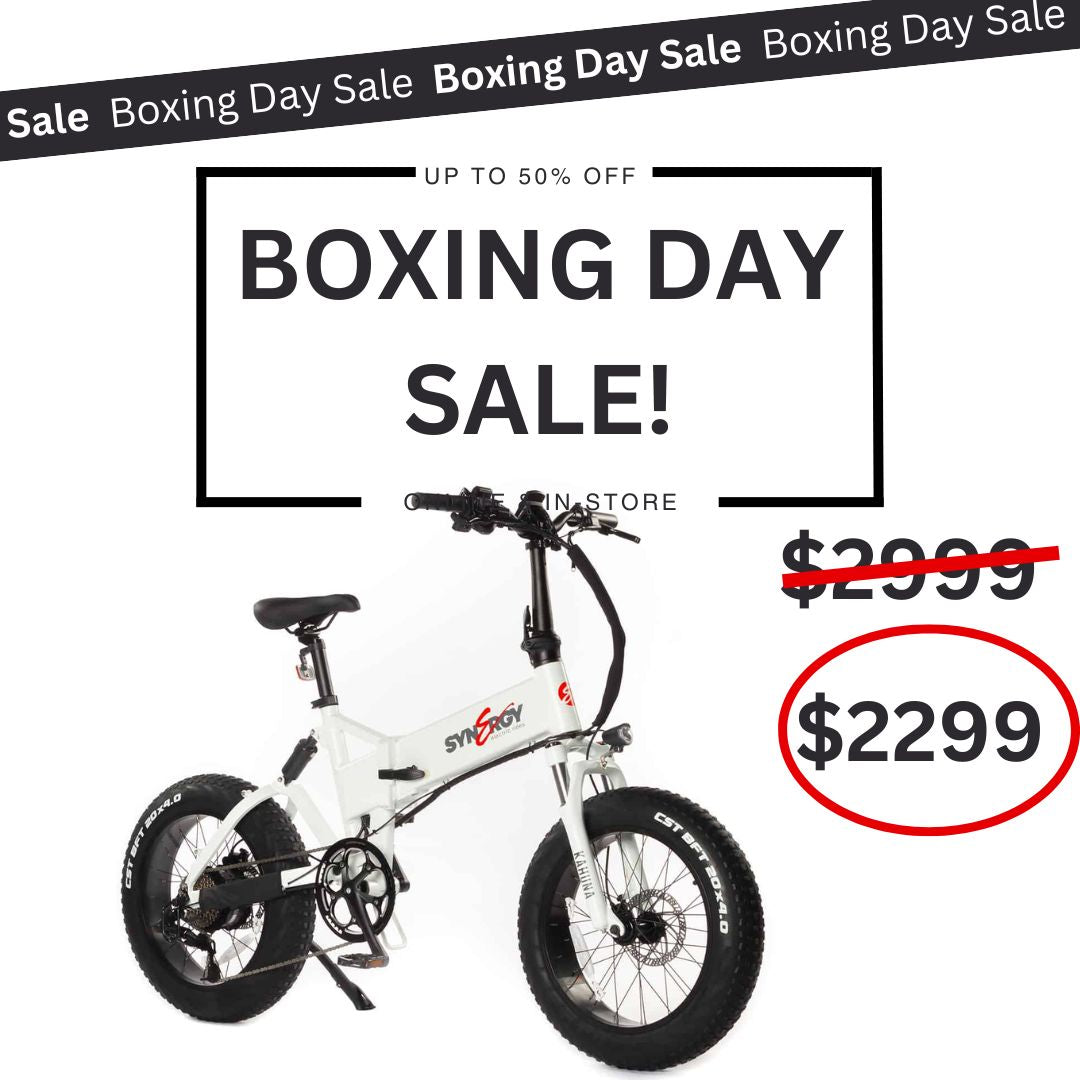 Electric Bikes Canada eBikes eScooters Vintage Iron Cycles