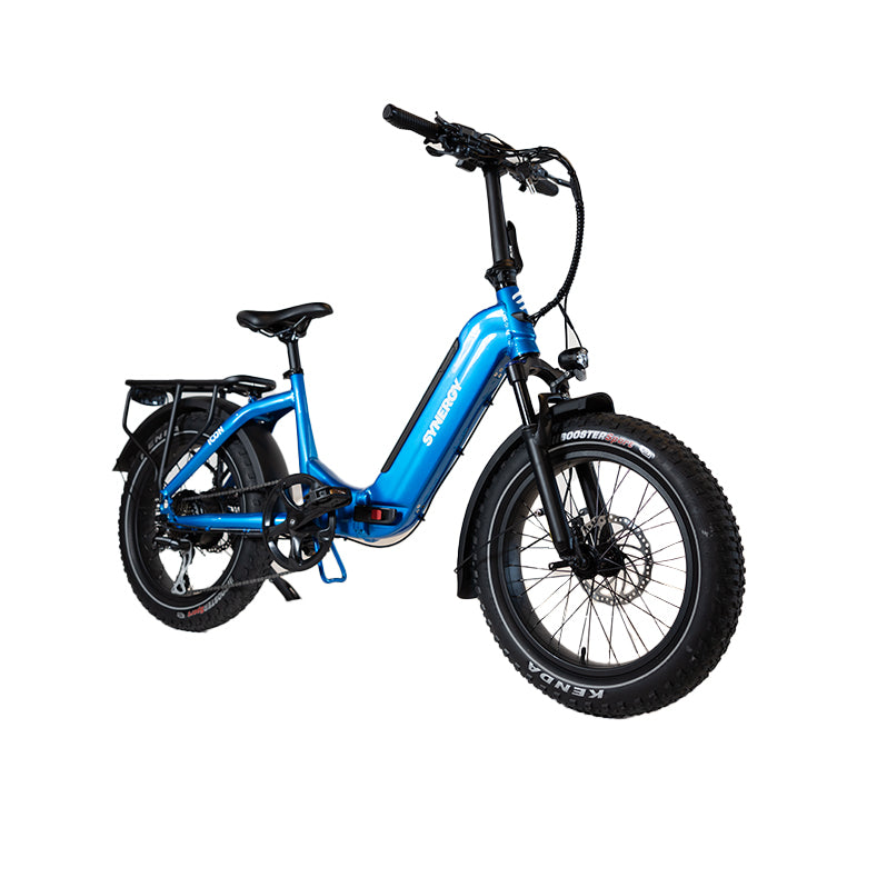 Blue Synergy low step e-bike for city and trail riding