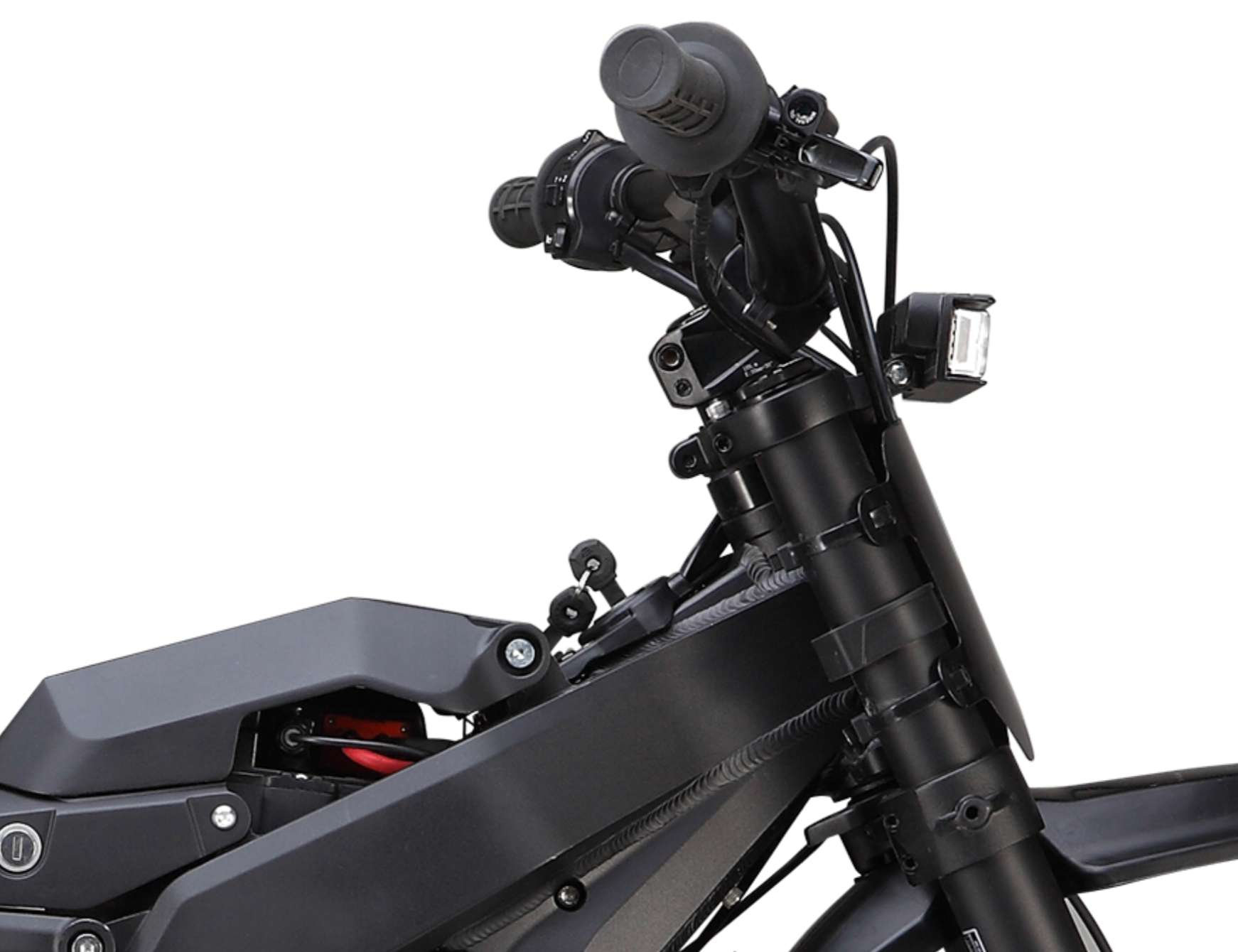 Eco bike pro price online