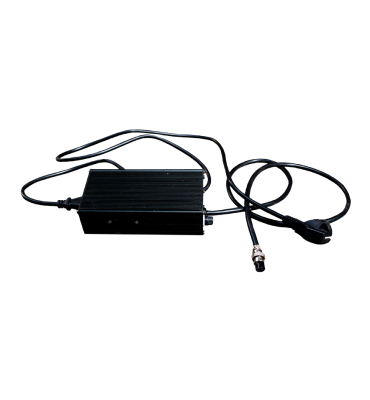 Rayvolt Cruzer Fast Charger
