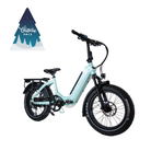 Synergy Icon Low Step electric bike – Christmas Sale