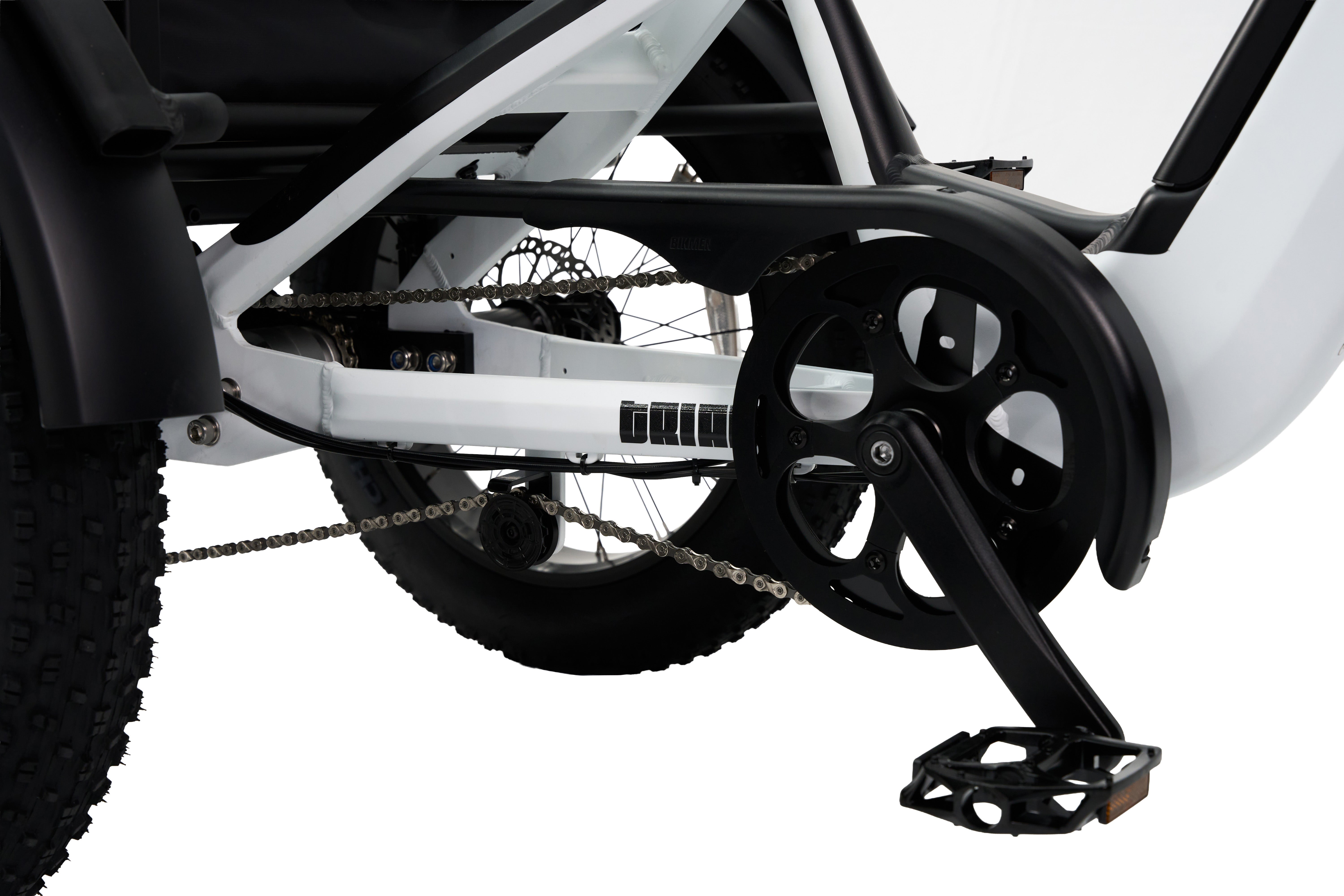 Synergy Triad 3 Wheel Bike – Vintage Iron Cycles