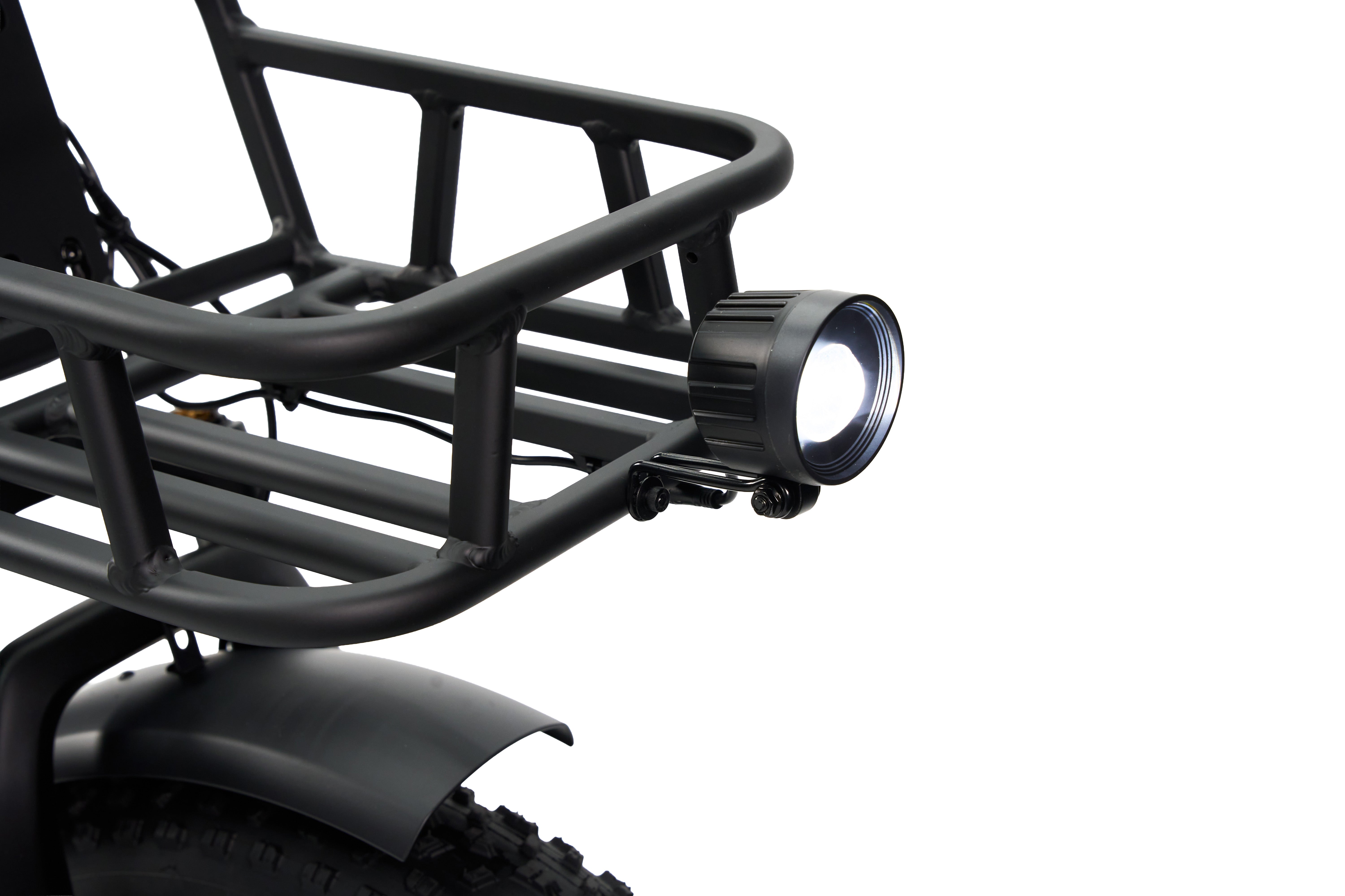 Synergy Triad 3 Wheel Bike – Vintage Iron Cycles