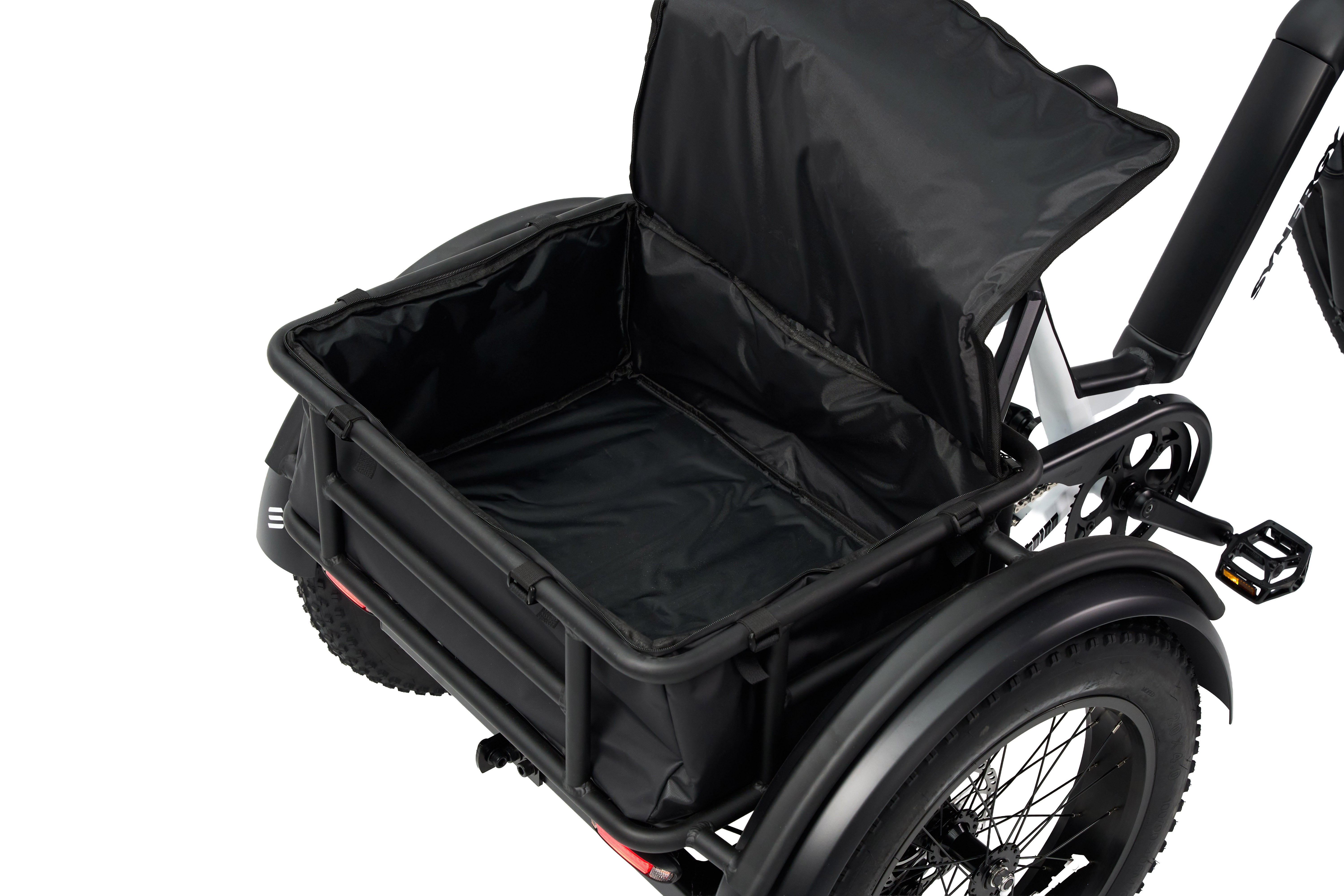 Synergy Triad 3 Wheel Bike – Vintage Iron Cycles