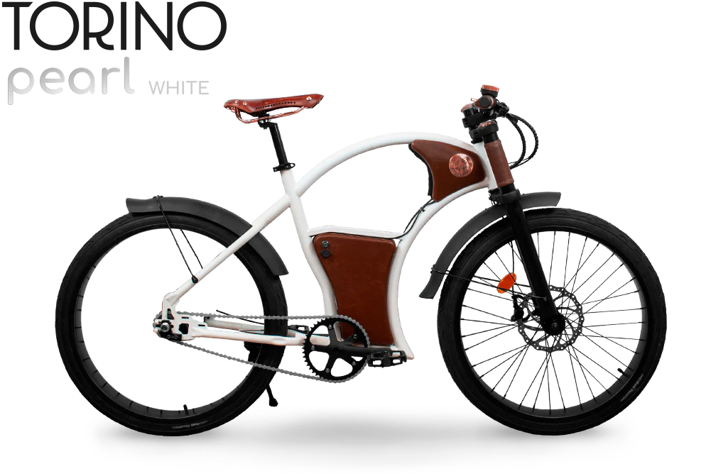 Rayvolt Torino (CALGARY)